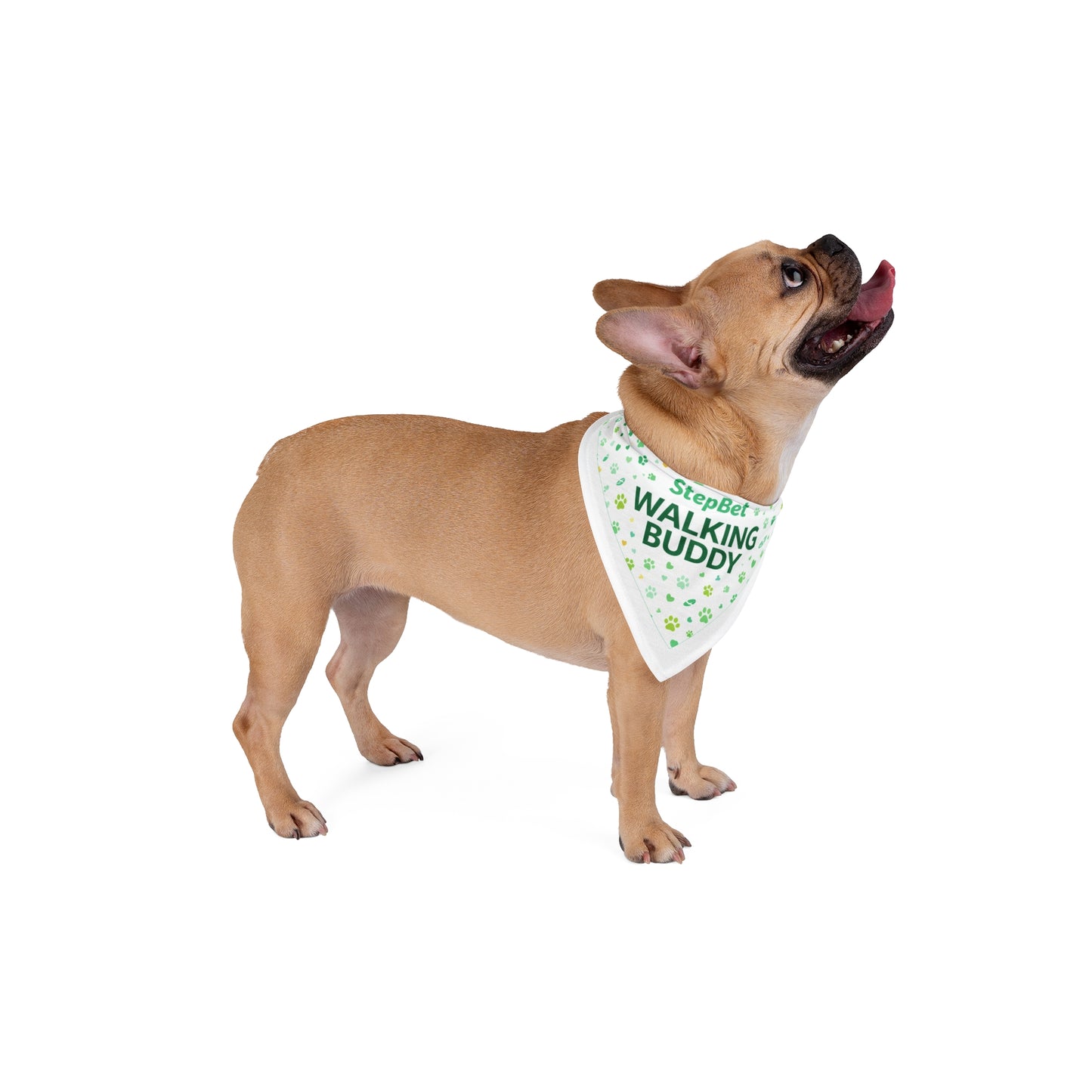 Pet Bandana — “StepBet Walking Buddy” Dog Bandana (Paw Print, Reflective Green)